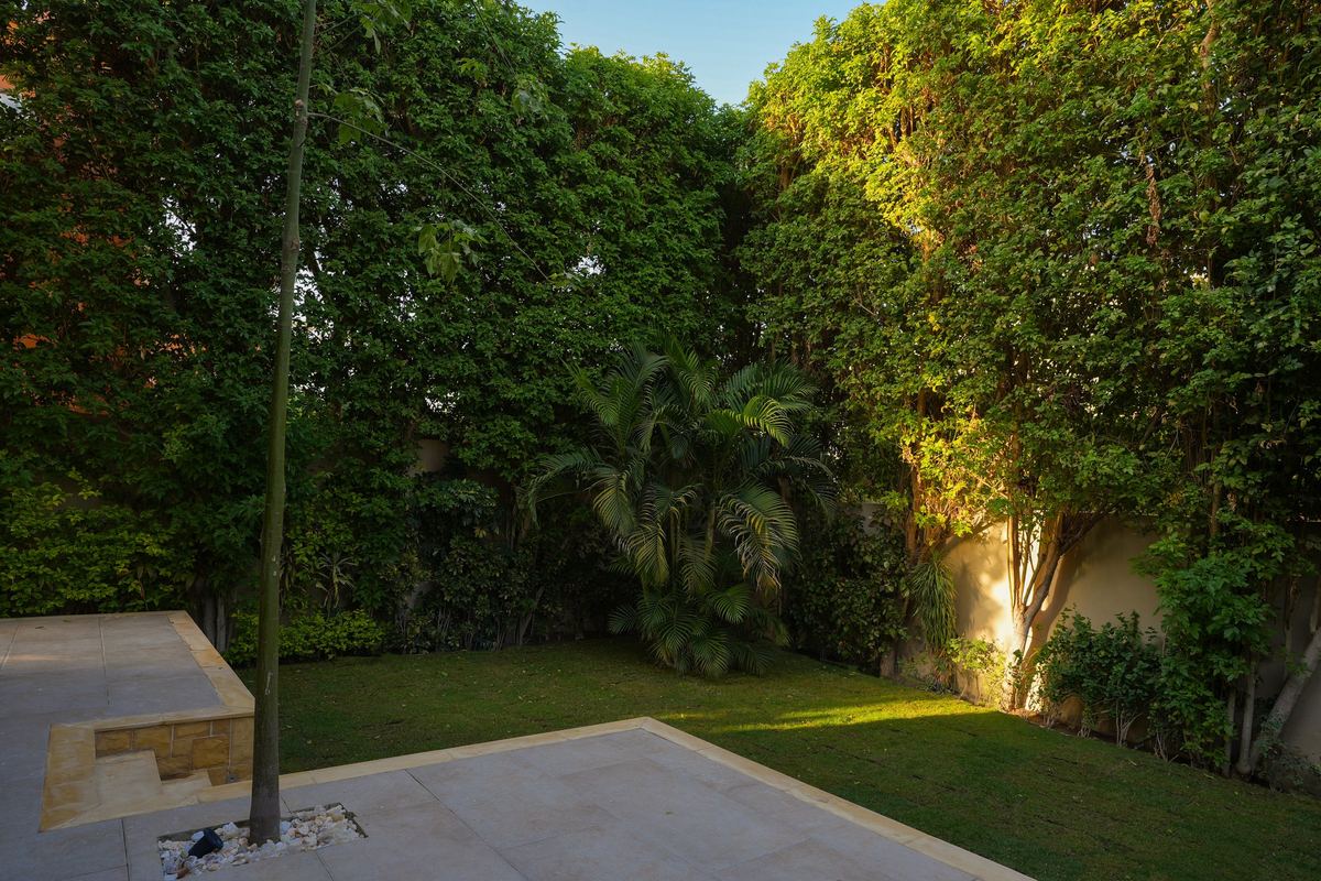 L-Villa II garden: lawn, stone terrace and tall green hedges in the afternoon sun